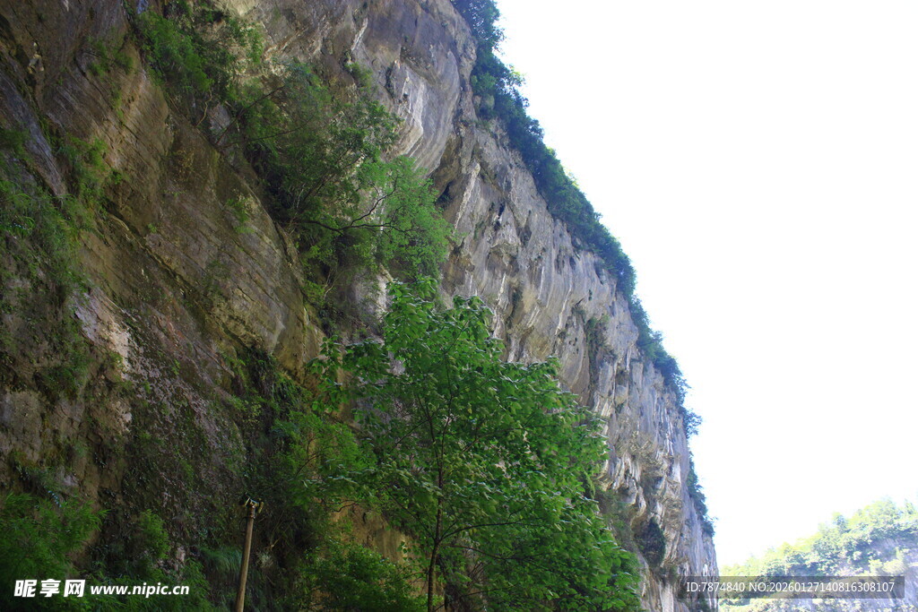 陡峭山壁上的翠绿植被