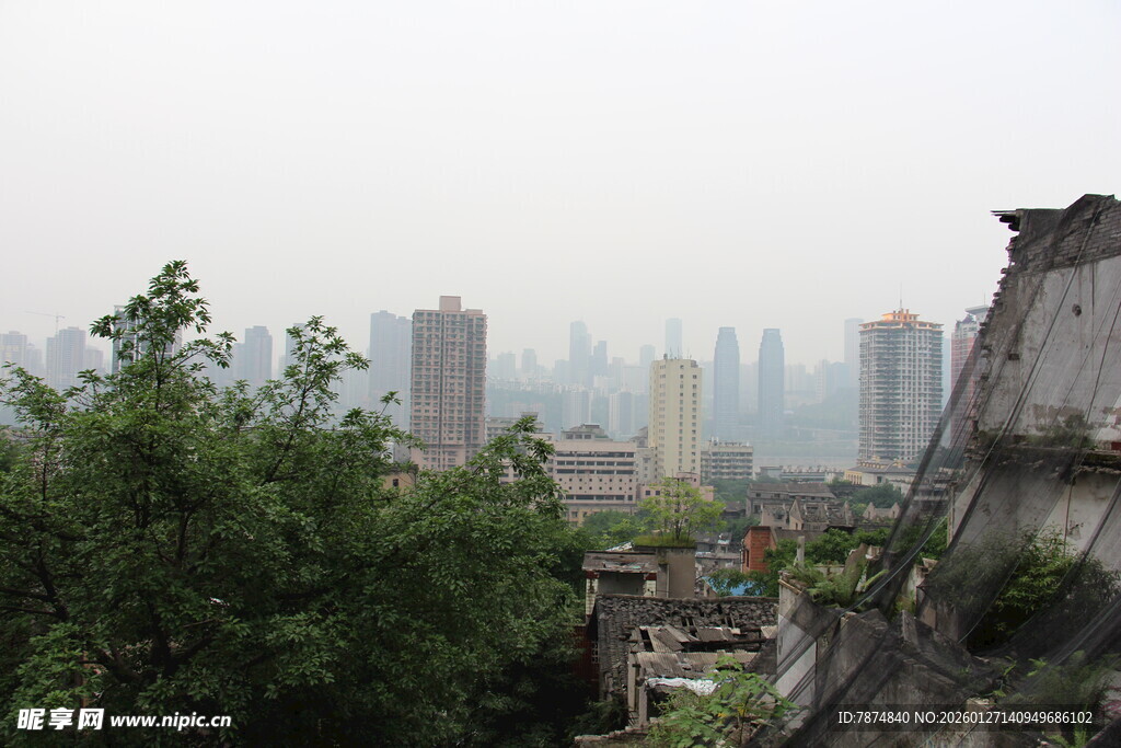 城市远景与绿植相映成趣