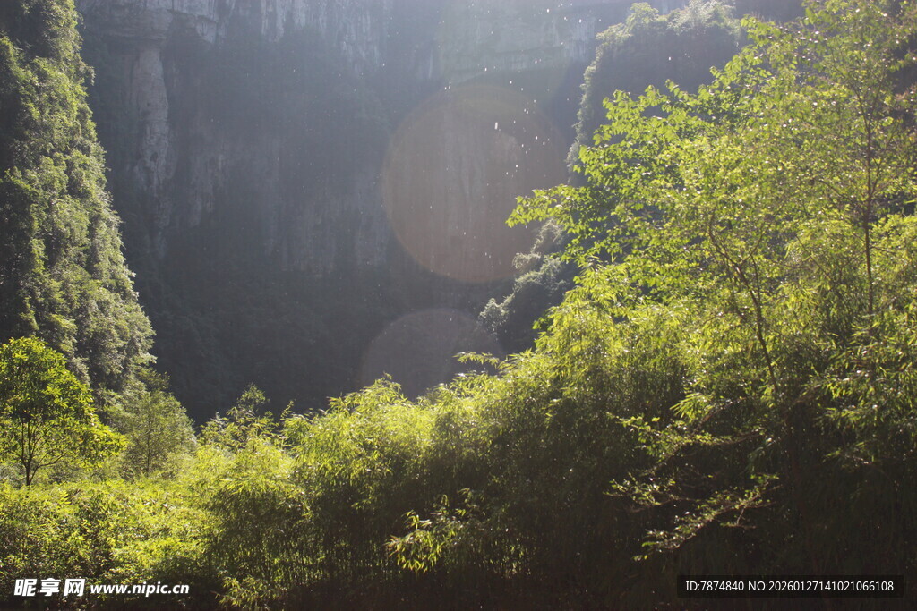 阳光照耀下的山林美景
