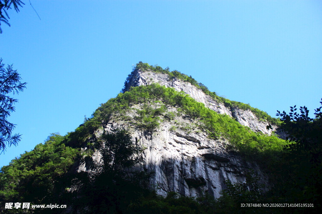 巍峨青山绿意浓