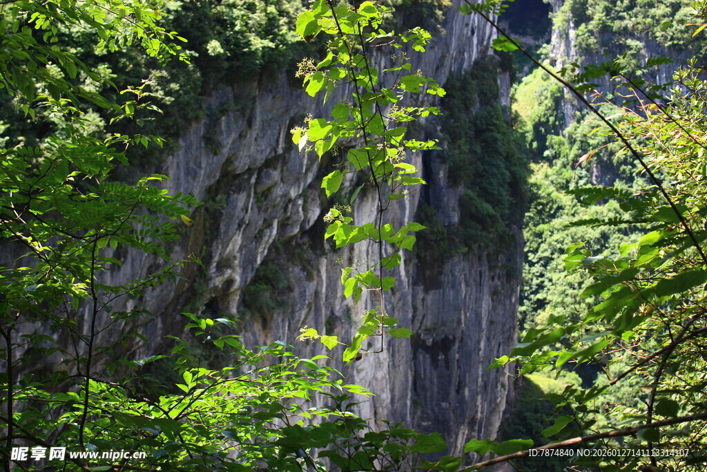 山林间的峭壁景色