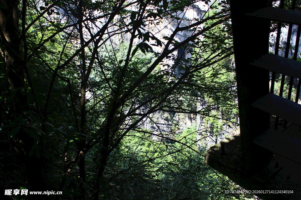 林间阳台 光影交织之景