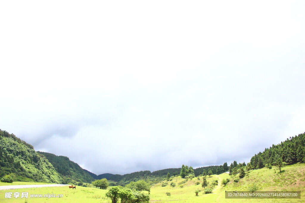 山间绿野风光