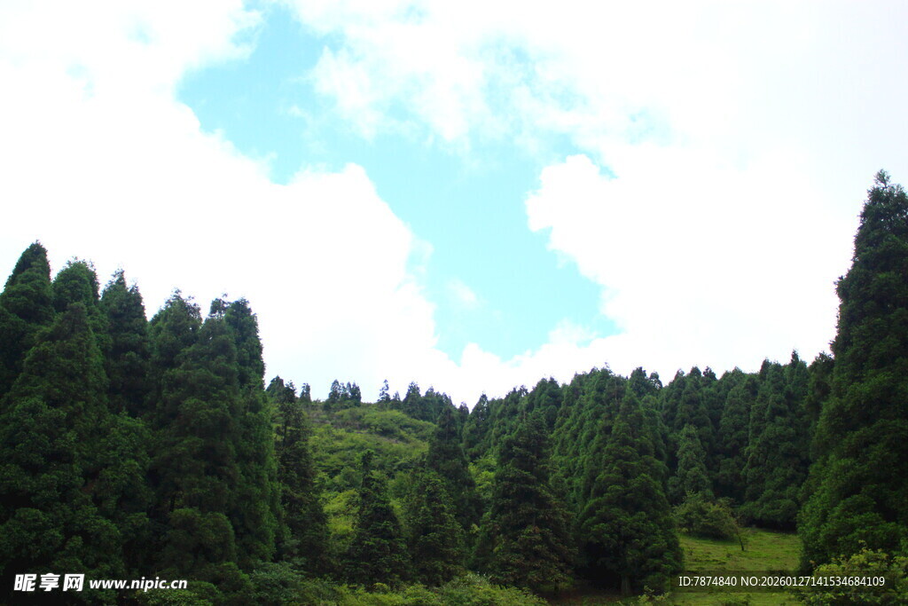 山林绿意盎然的自然景致