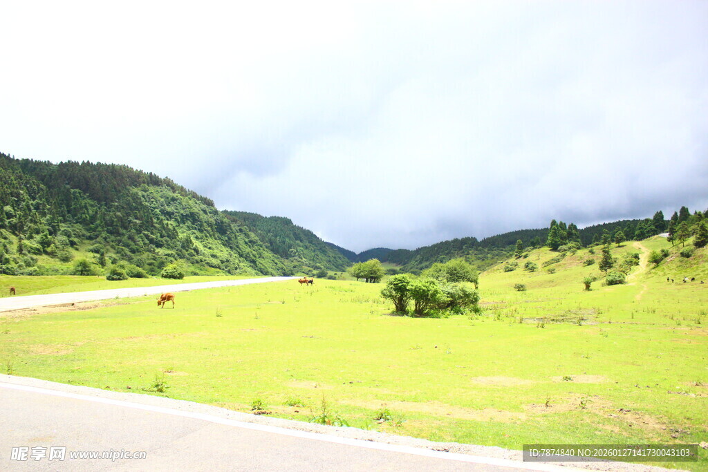 山间绿野中的蜿蜒公路