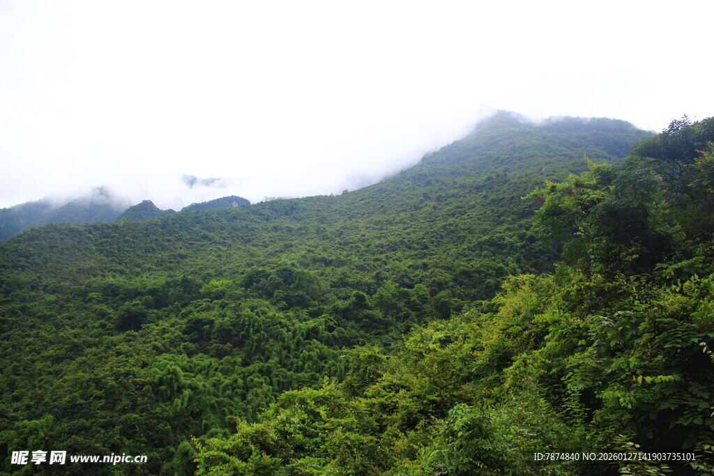 翠绿山峦 云雾缭绕美景