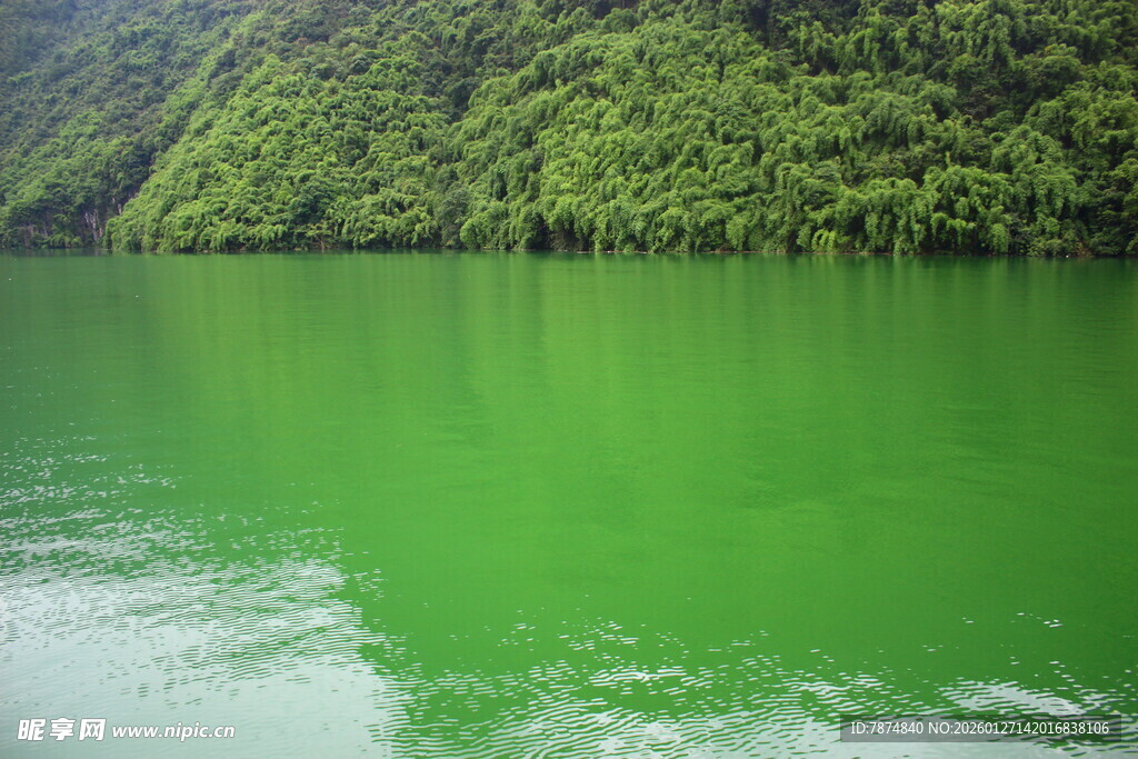 碧绿湖水与葱郁山林