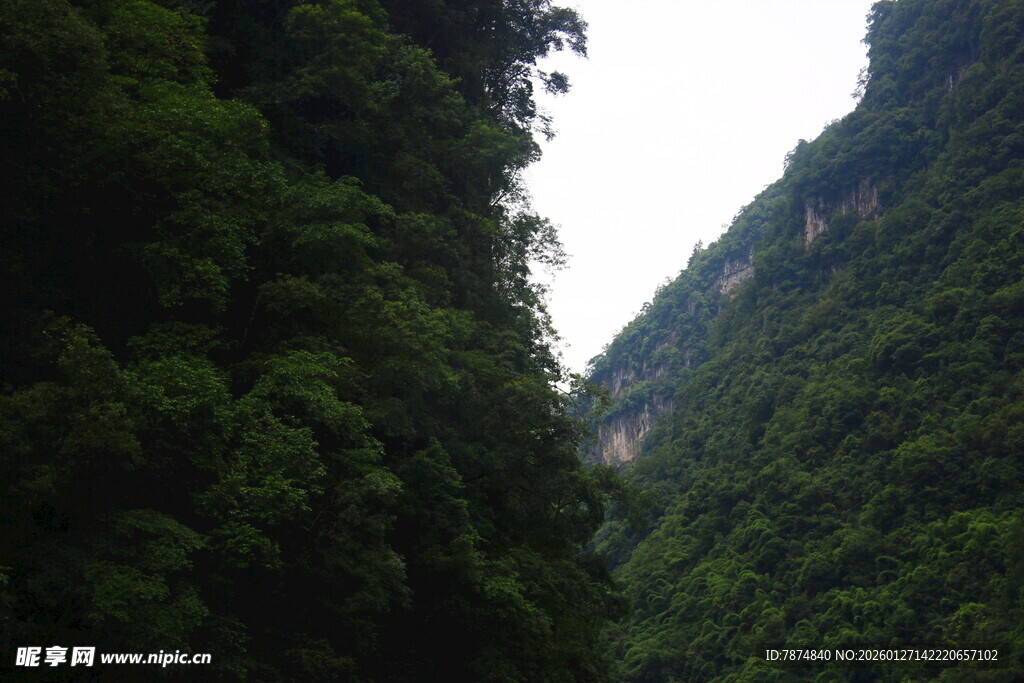 峡谷间的葱郁山林