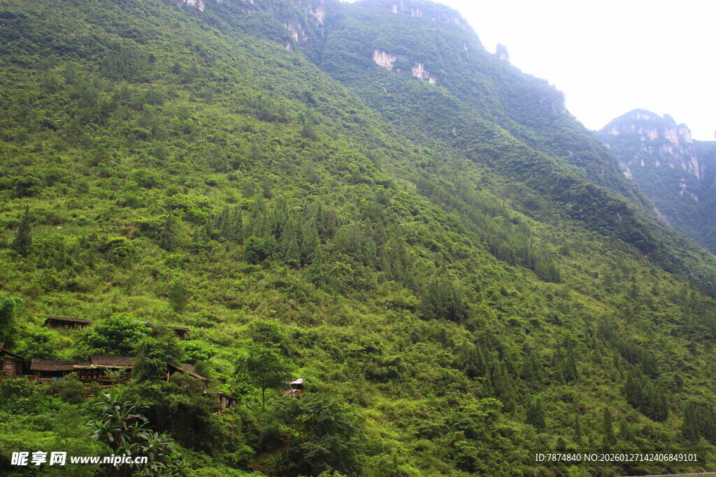 翠绿山峦 自然绿意美景