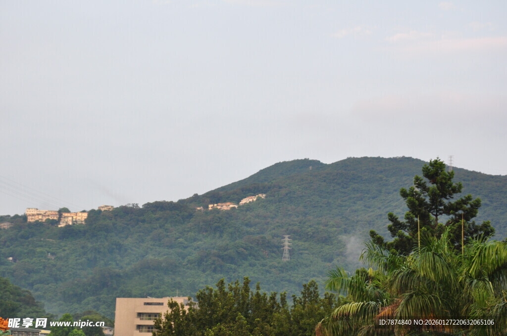山景中的城市与绿树