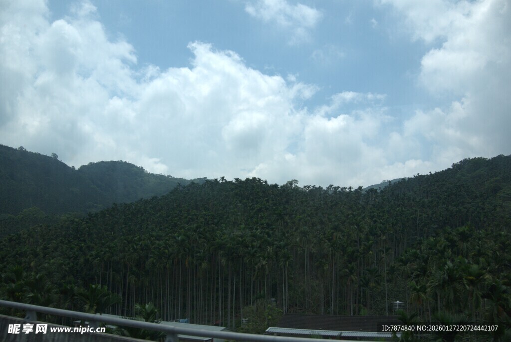 山间公路旁的蓝天白云绿树