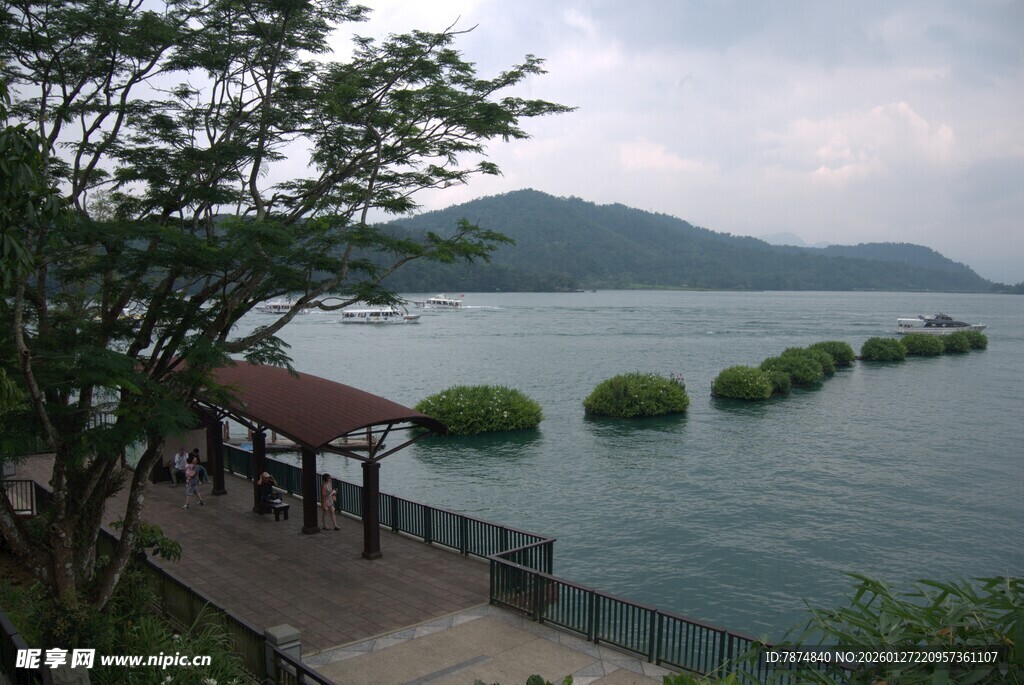 湖畔美景 绿植点缀的宁静处
