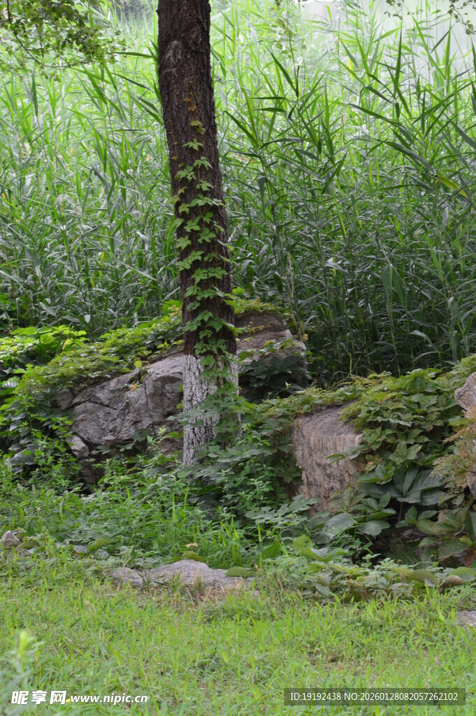 公园风景 