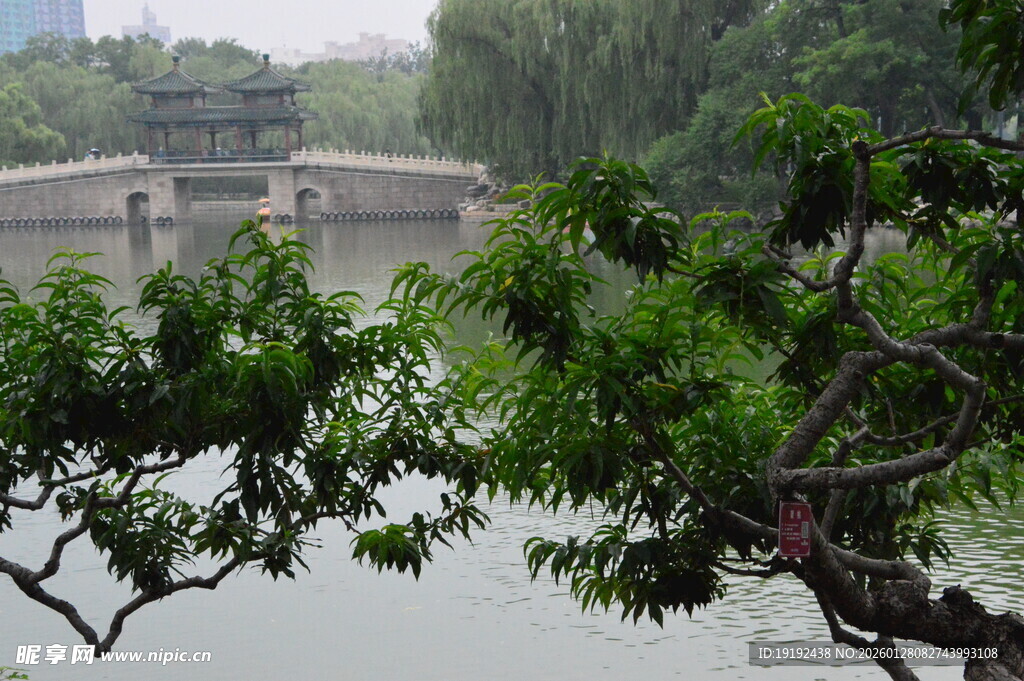 公园风景  