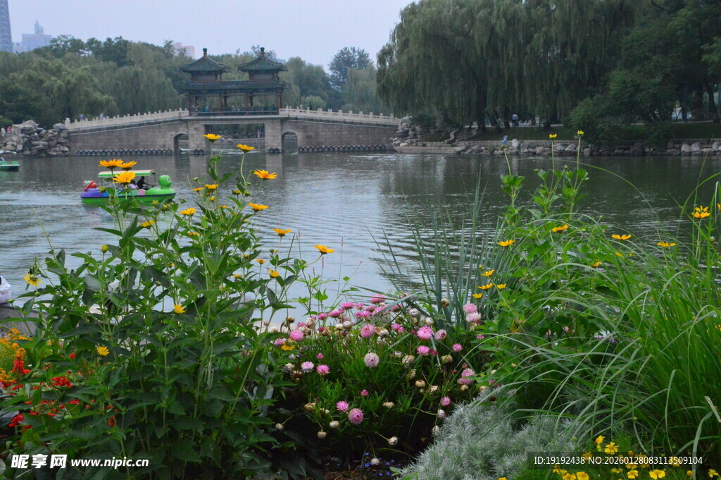 公园风景  