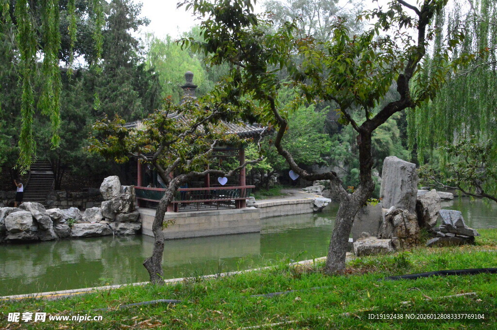 公园风景 