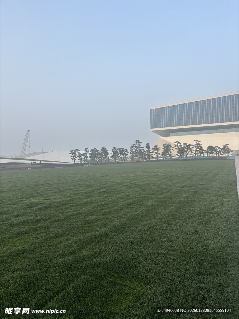绿茵场地与现代建筑景观