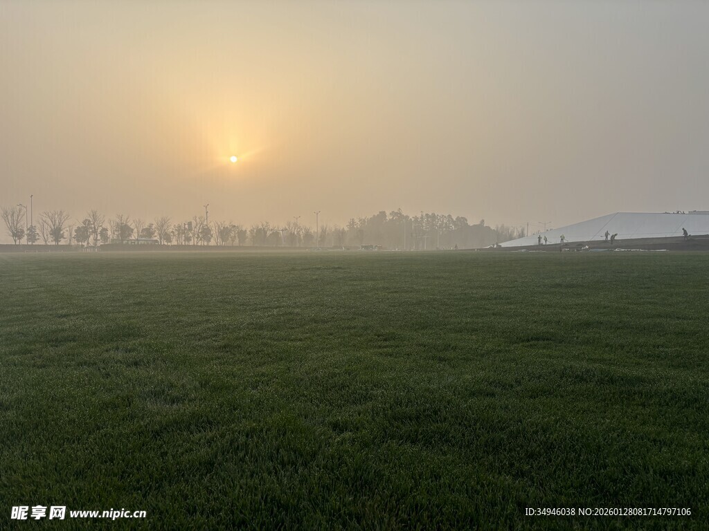 晨雾中的田野与初升太阳
