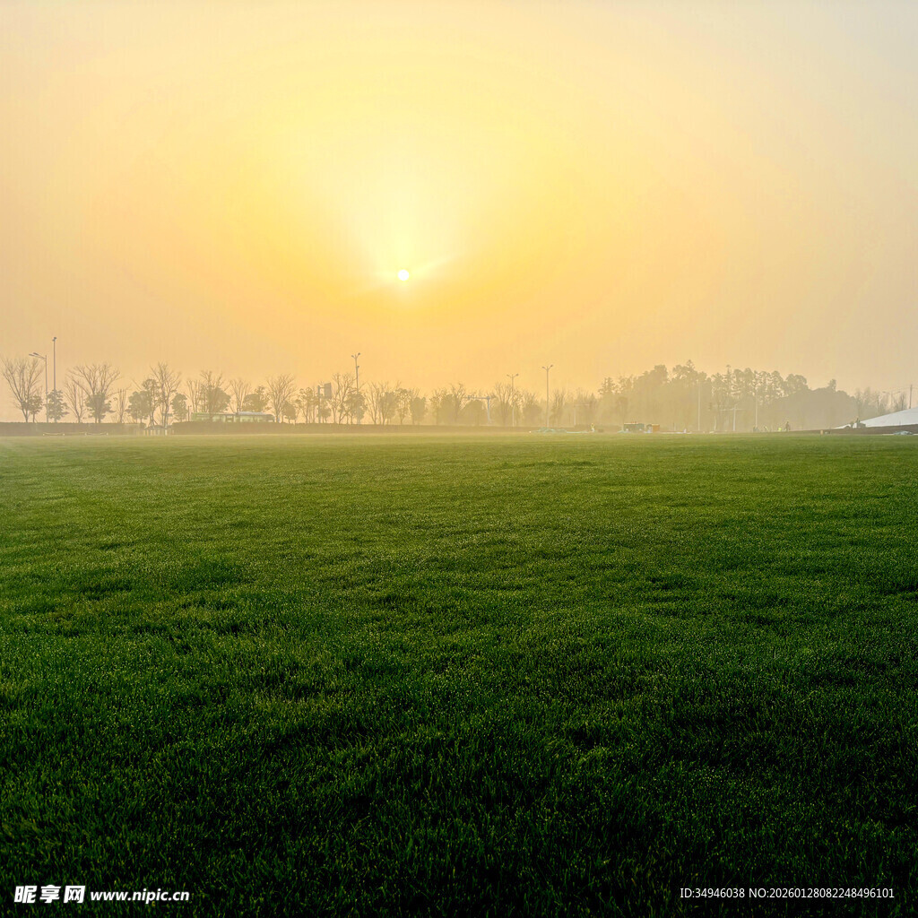 日出下的翠绿田野