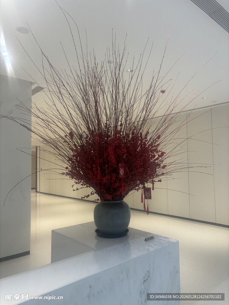 室内红植盆栽艺术展示