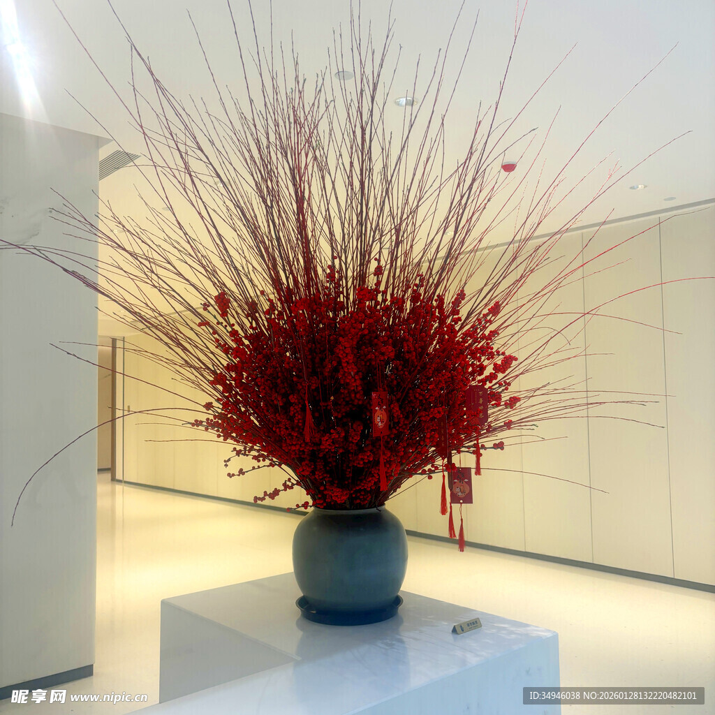 室内红色干花装饰摆件