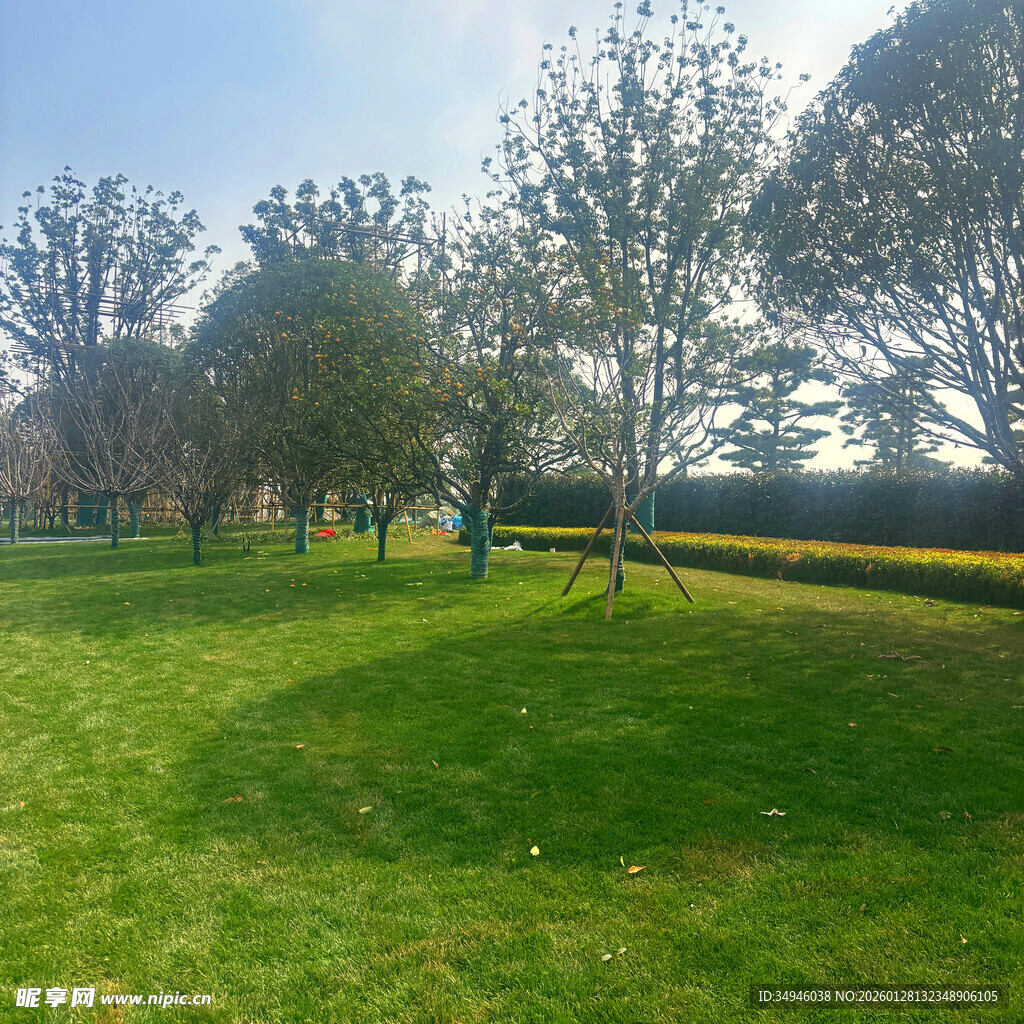 春日公园草地休闲景象