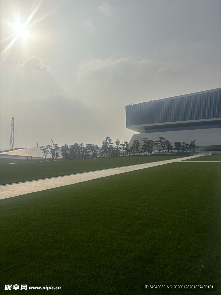 阳光下的草地与现代建筑