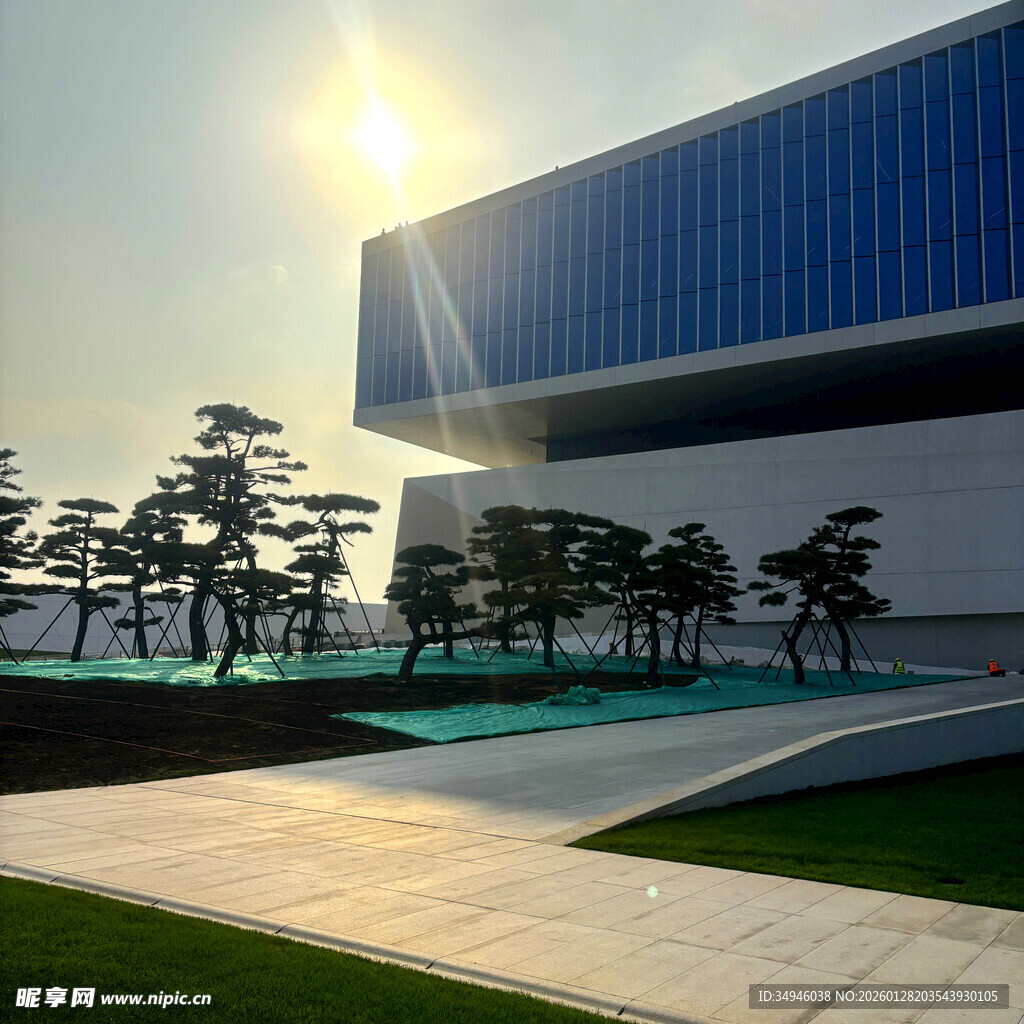 现代建筑旁的绿植景观