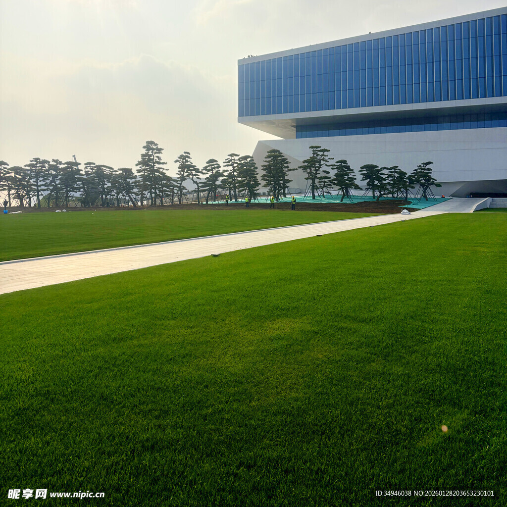 现代建筑旁的翠绿草坪