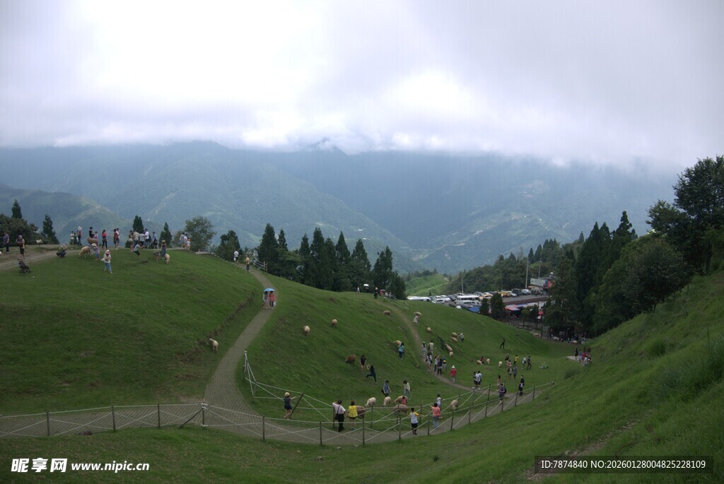 山间绿野漫步风景
