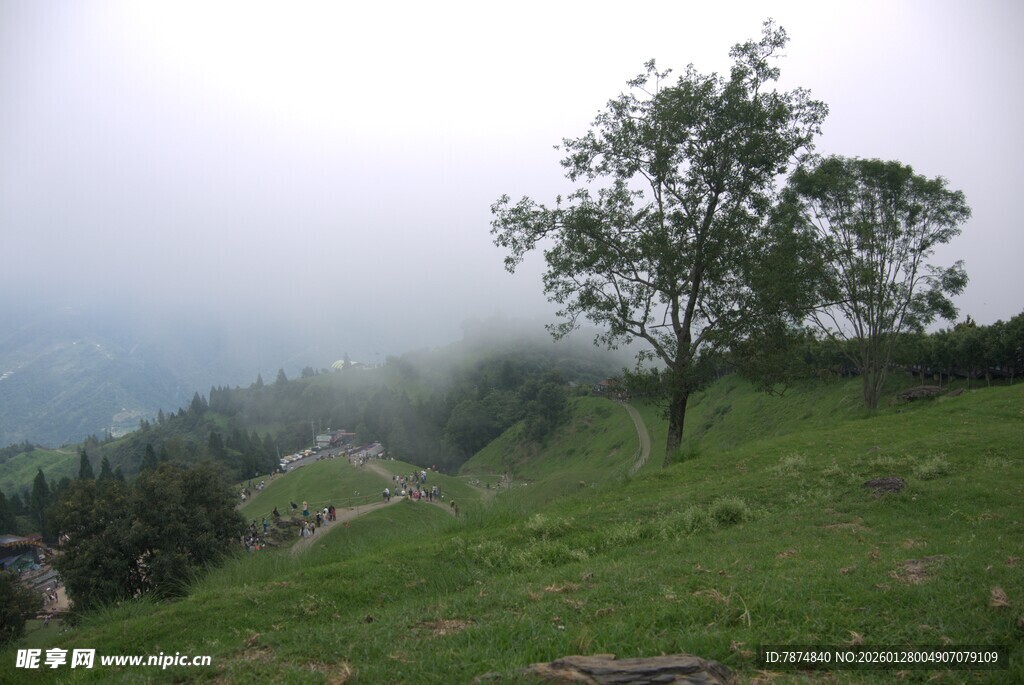 山间孤树 云雾缭绕之景