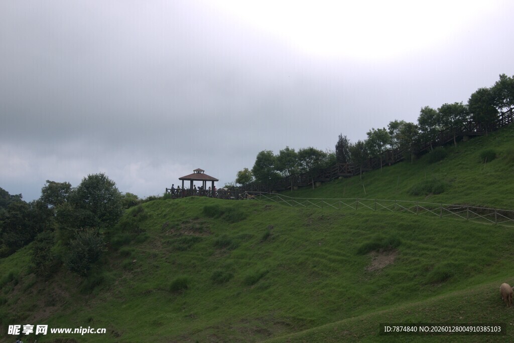山坡绿植景观