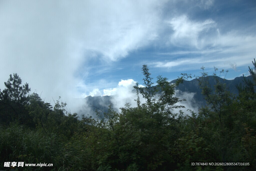山林间的云雾缭绕美景