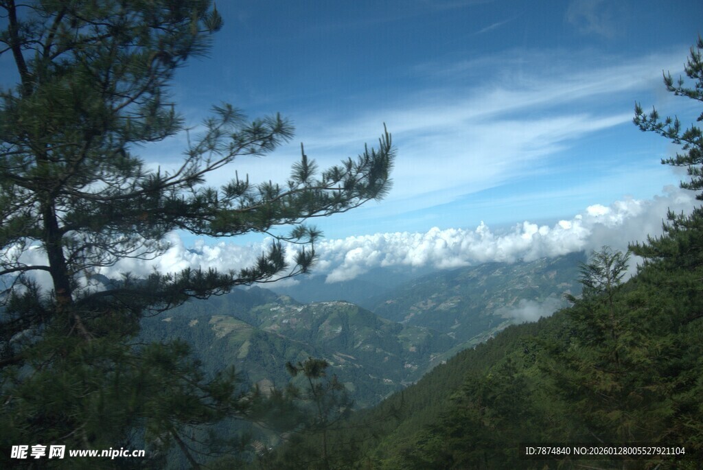 山间松景 远眺蓝天白云