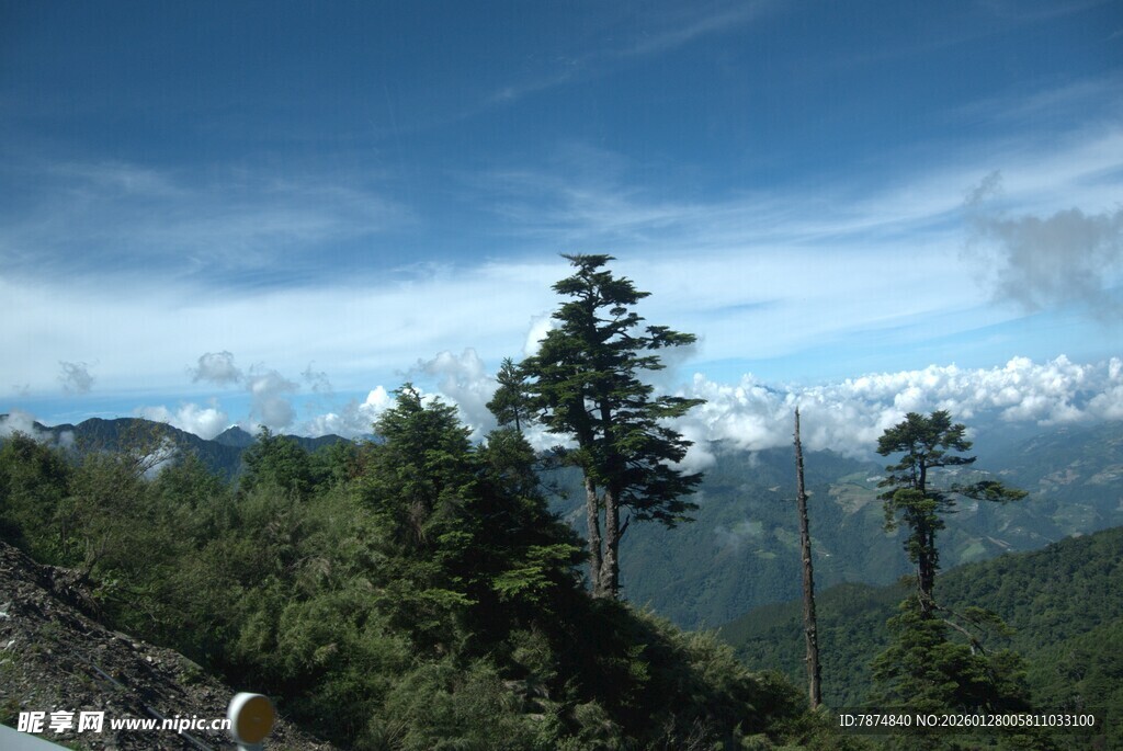 山间松林 蓝天白云美景