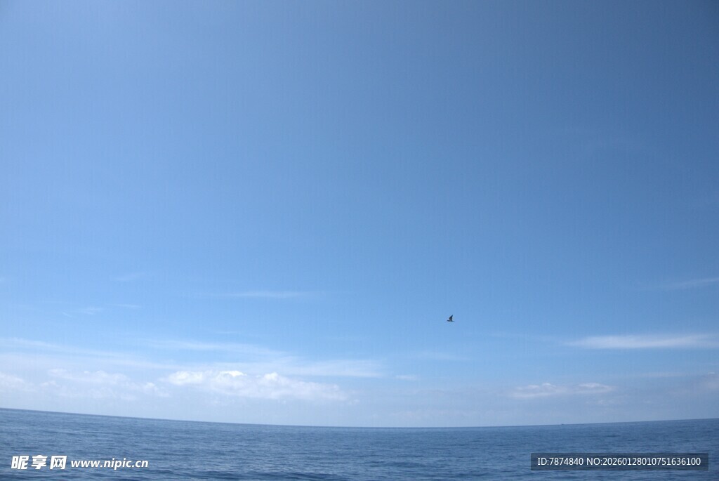 广阔海面与晴朗蓝天