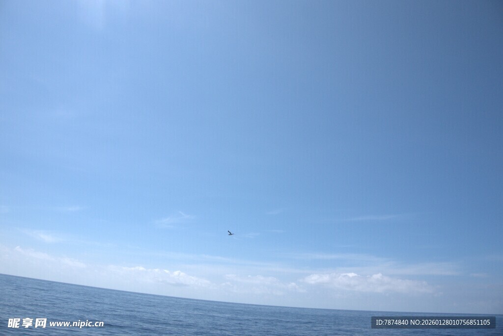 晴朗天空下的广阔海面