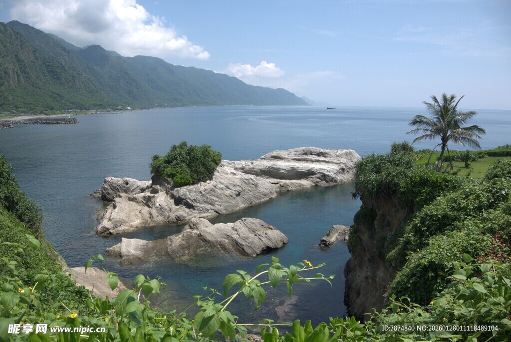 海岸风光 碧海 岩石与绿植