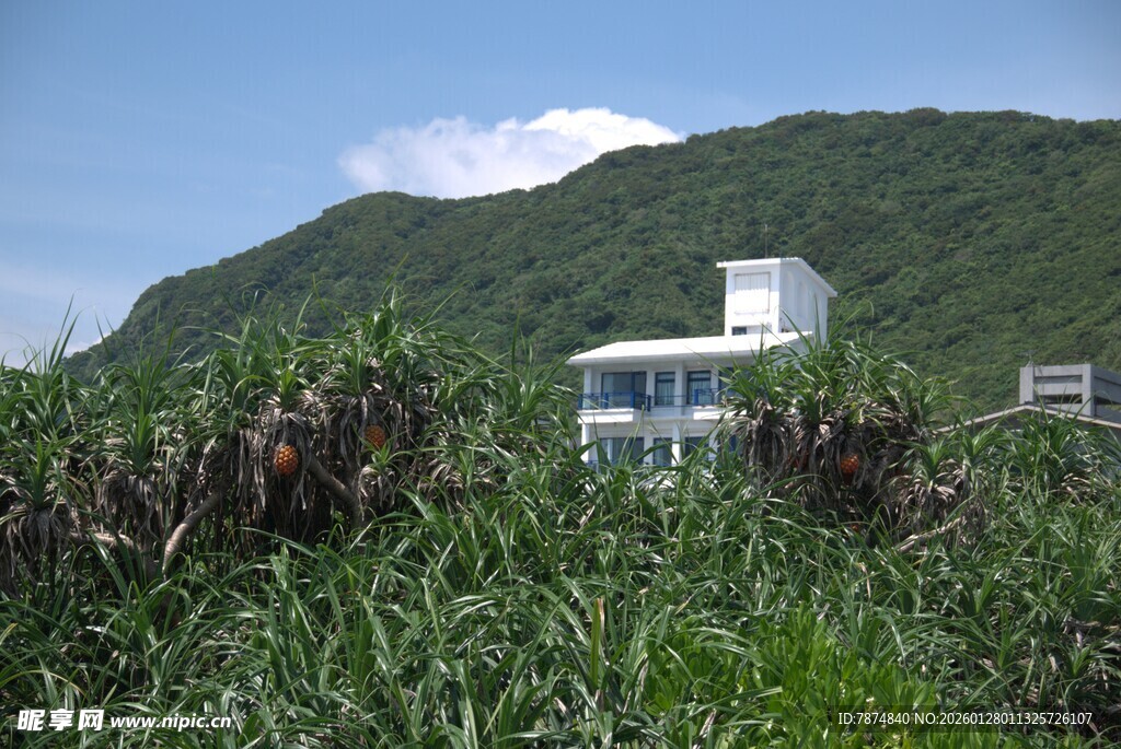 山间小屋隐于葱郁植被中