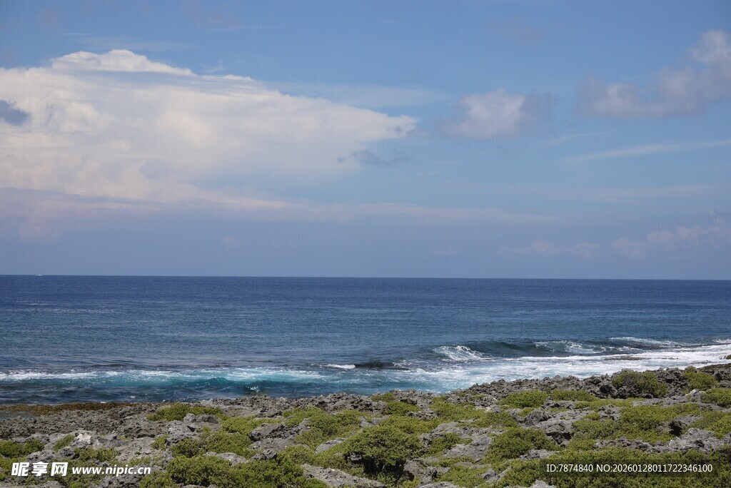 海边风光 蔚蓝大海与绿地