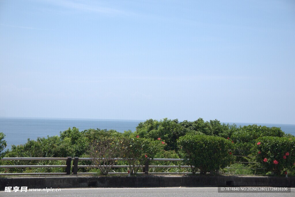 海边绿植景观