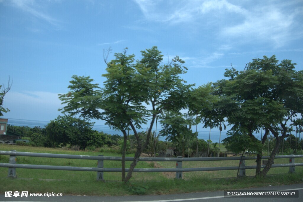 公路旁绿树与开阔风景