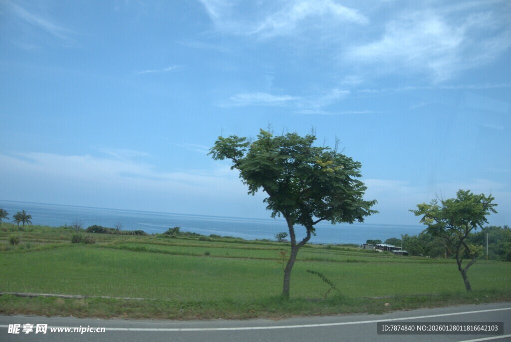 公路旁的绿树与辽阔海景