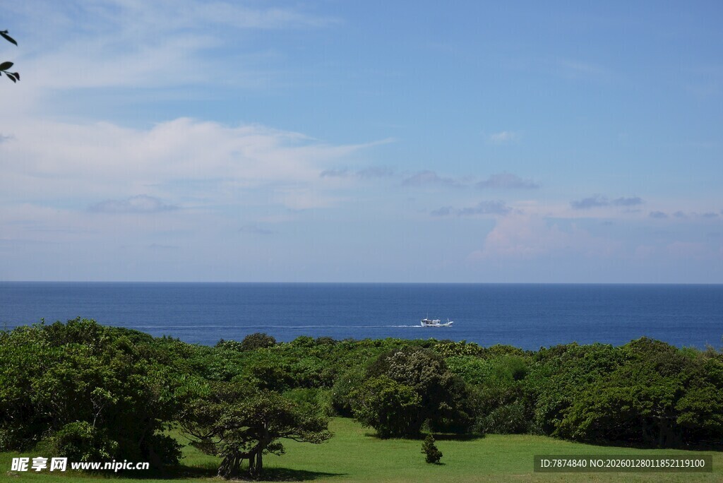 海边绿意盎然的美丽景致