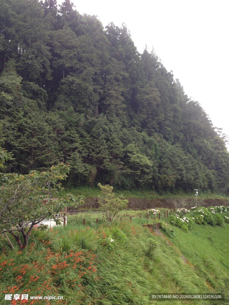 山间绿野风光