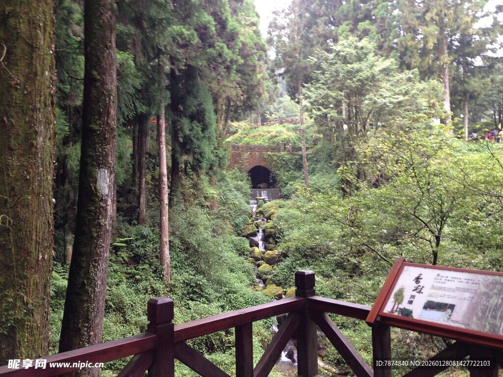森林栈道观景处的指示牌