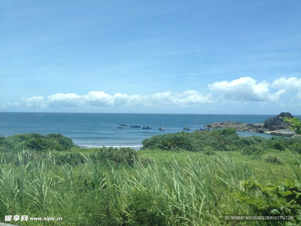 海边绿野风光