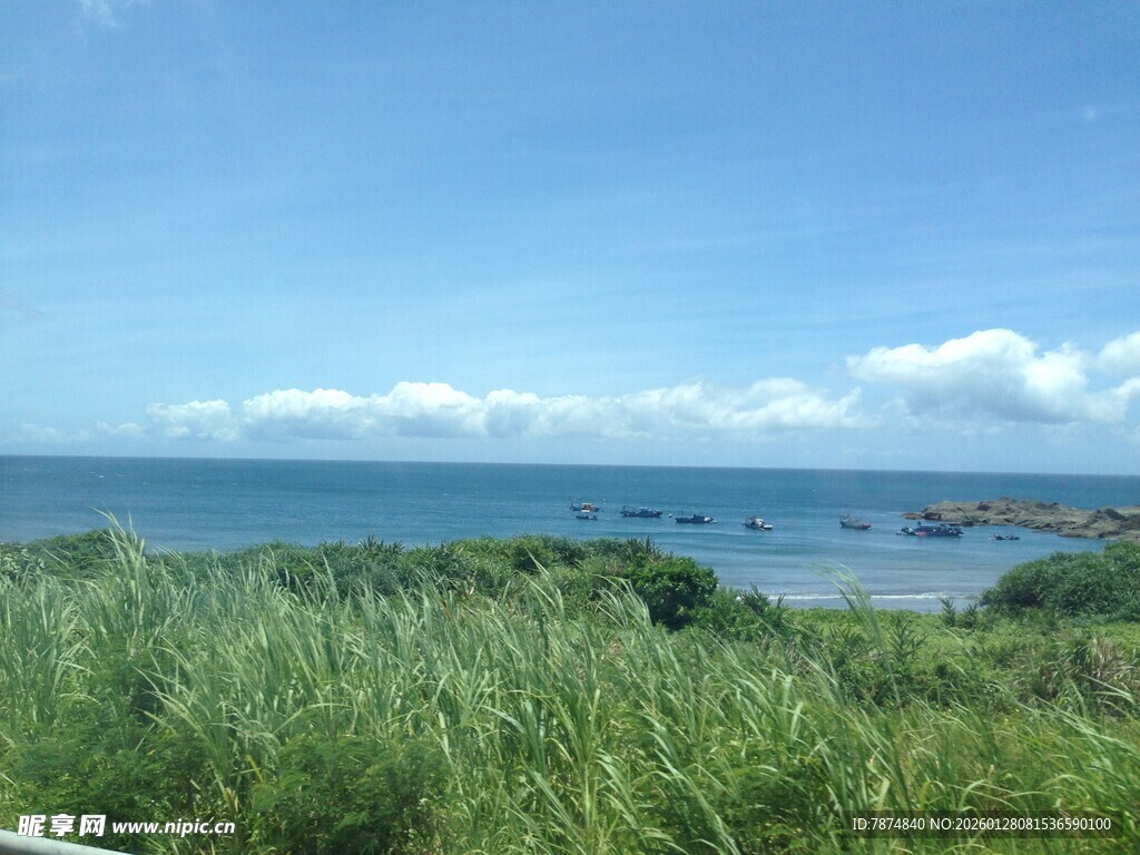 海边葱郁草地与辽阔海景