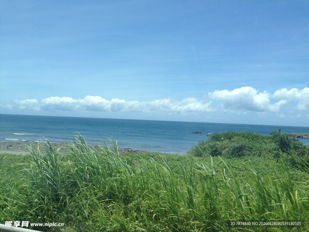 海边绿野风光