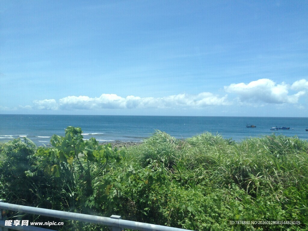 海边绿植与蔚蓝大海景观
